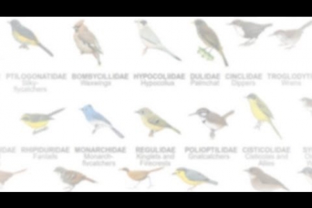 A revolution in ornithological reference works!